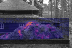 manure1